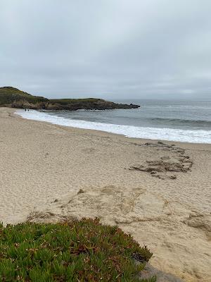 Sandee - Arroyo De Los Frijoles Beach