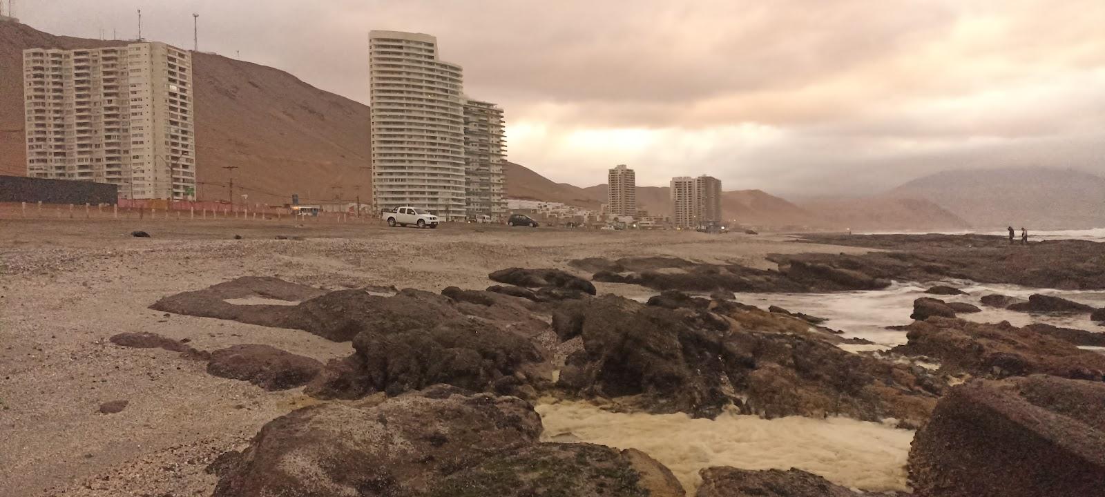 Sandee Playa Brava