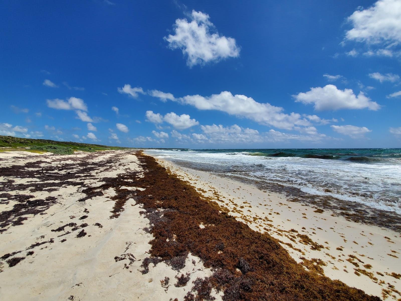 Sandee Ixpalbarco Beach