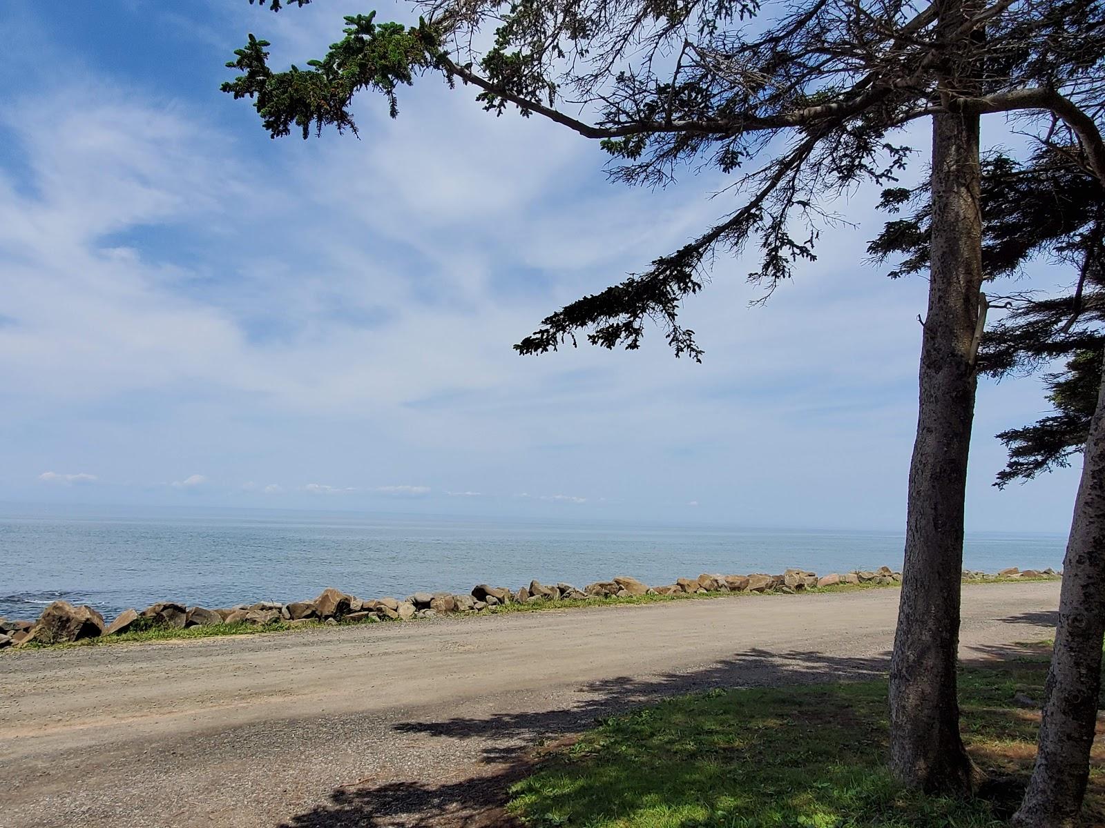 Sandee Cottage Cove Provincial Park Photo