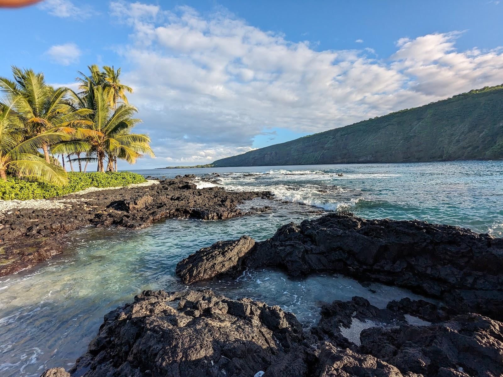 Sandee Napoopoo Beach Photo