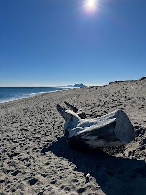 Sandee - Playa De Sotogrande