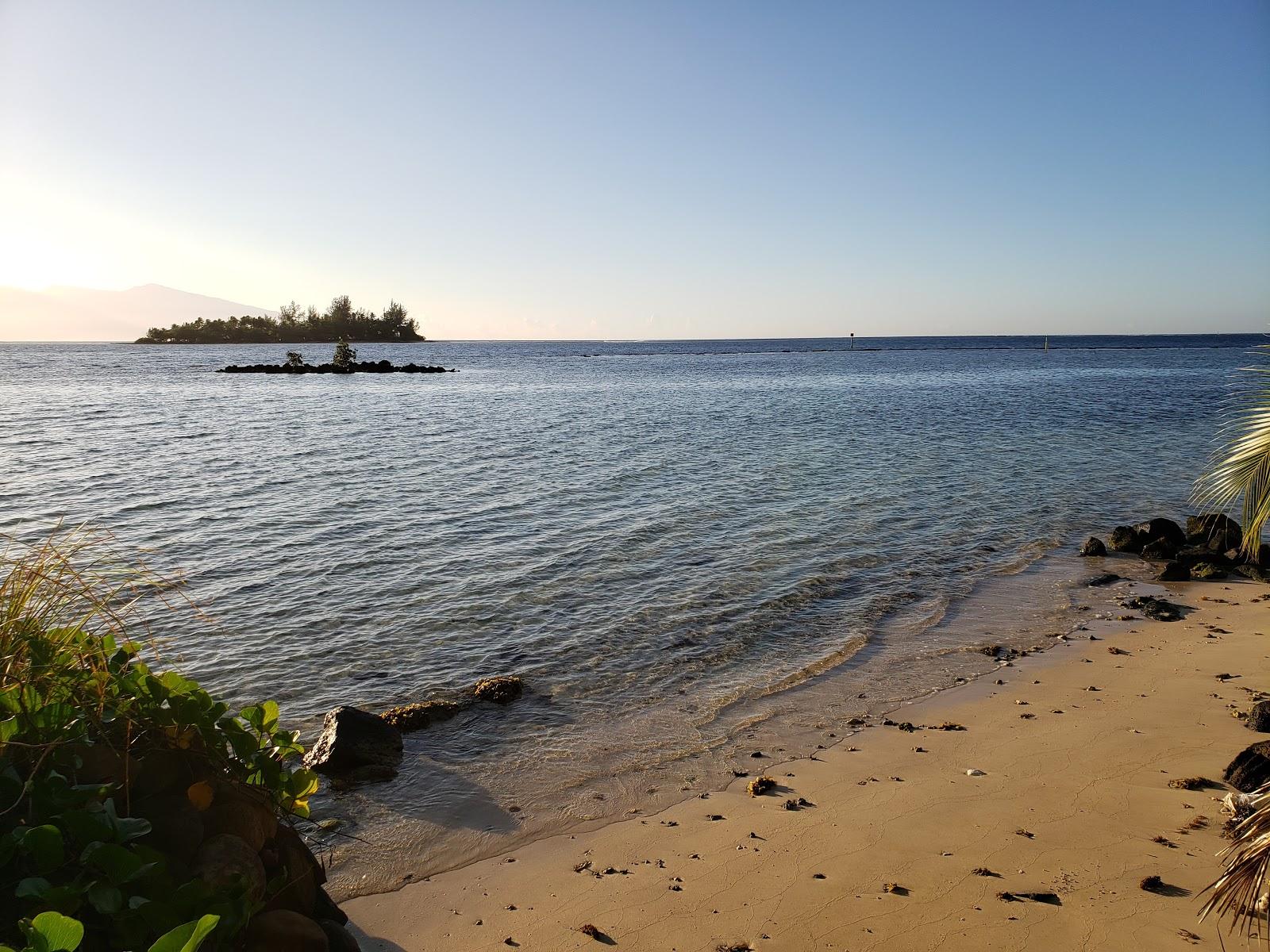 Sandee Te Ora Hau Ecolodge Photo