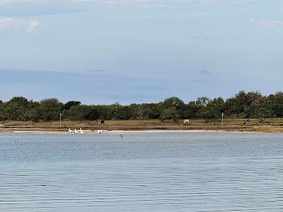 Sandee - Kaufer-Hubert Memorial Park