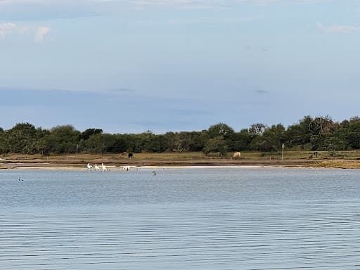 Sandee - Kaufer-Hubert Memorial Park