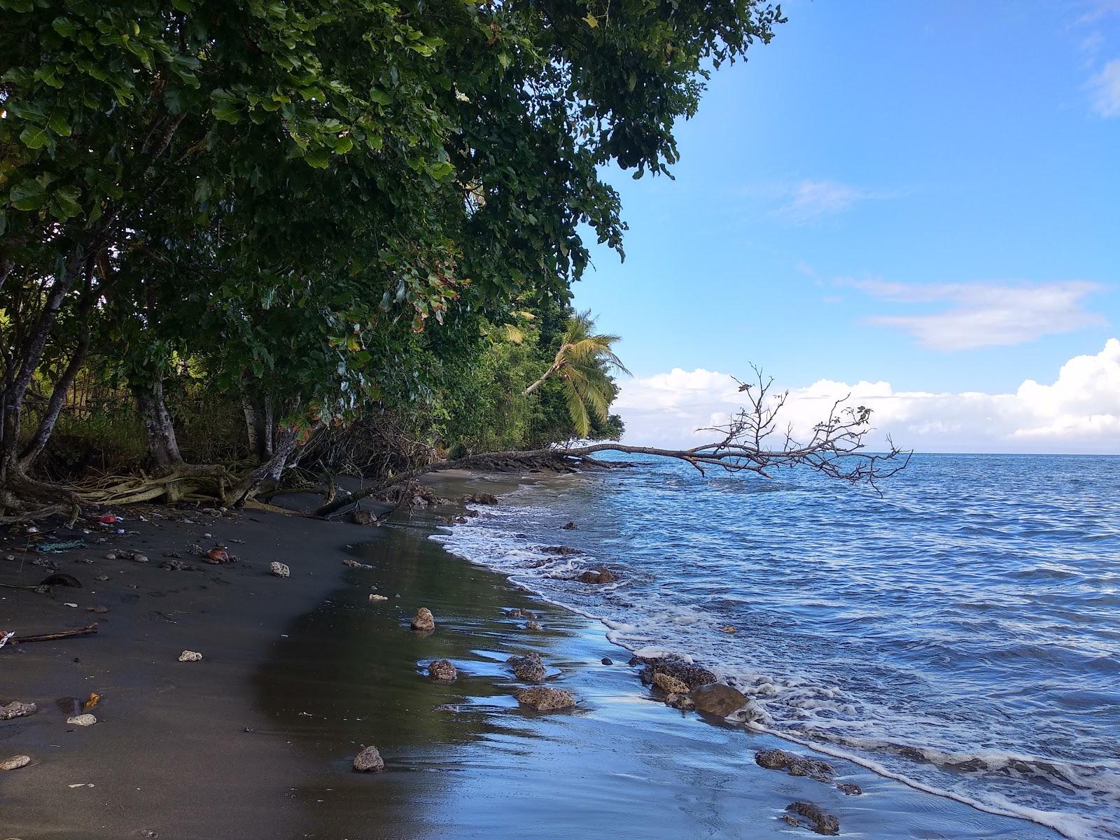 Sandee Pantai Baluk Rening