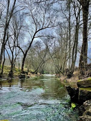 Sandee - River Beach Of Verim