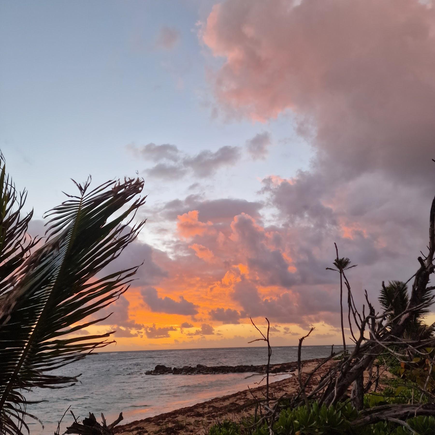 Sandee Nisbet Beach