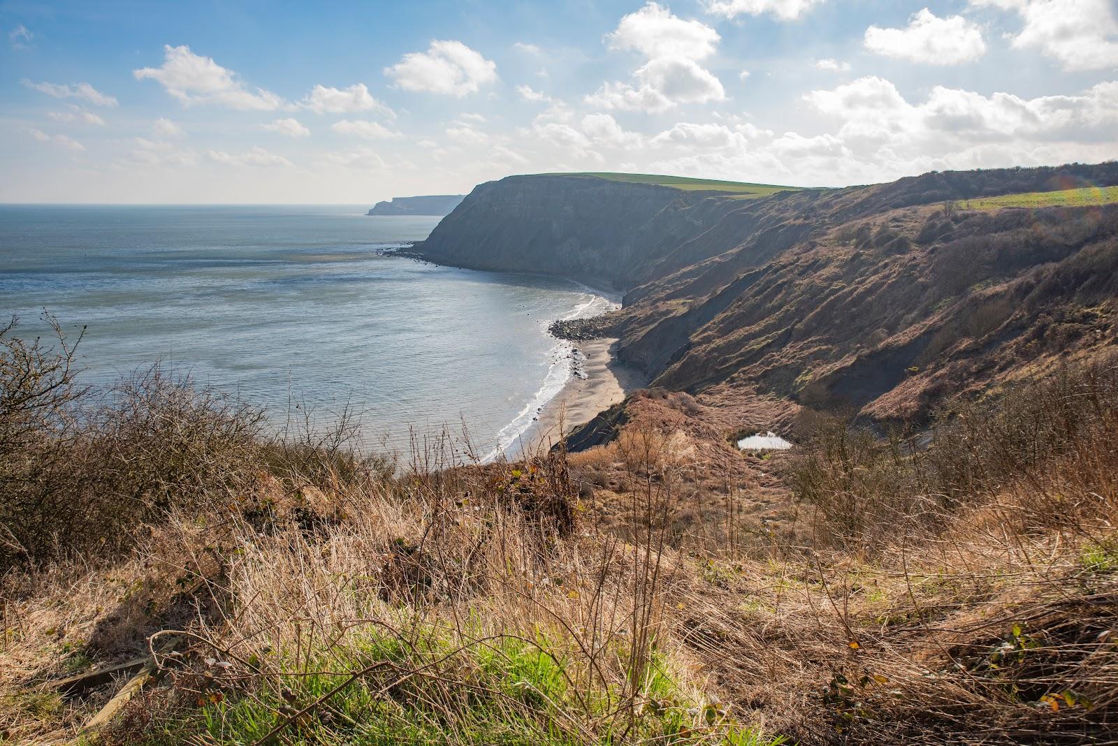 Sandee Port Mulgrave Beach Photo