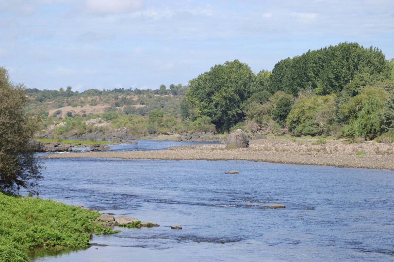 Sandee Praia Fluvial De Alvega