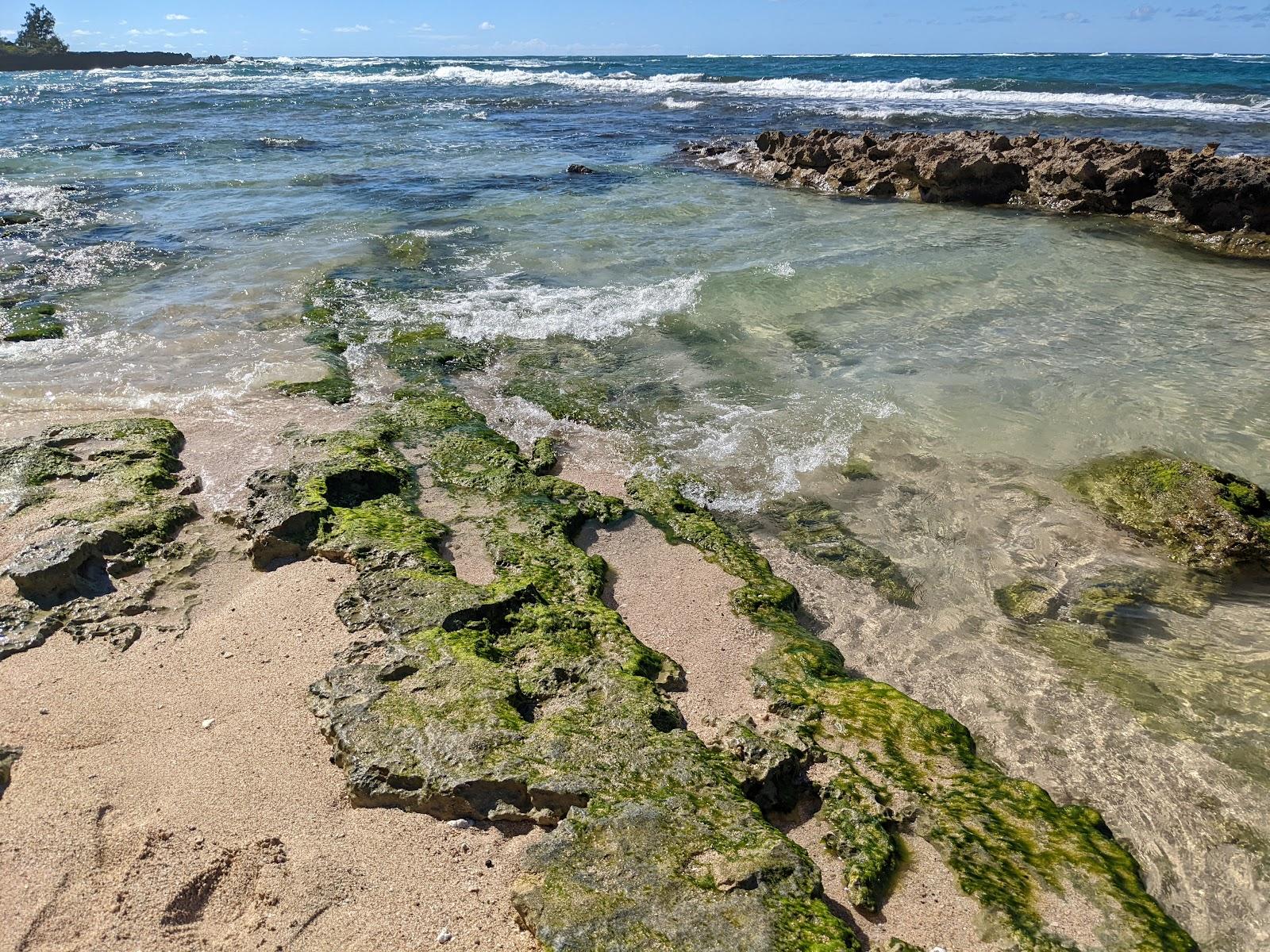 Sandee - Waialee Beach Park