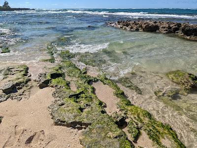 Sandee - Waialee Beach Park