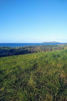 Sandee - Green Cay Beach