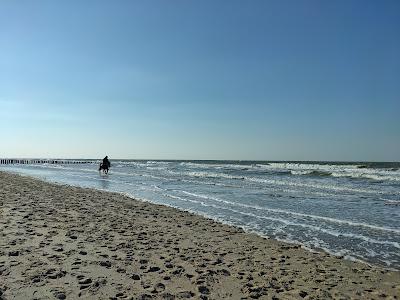 Sandee - Strand Paviljoen Noordduine