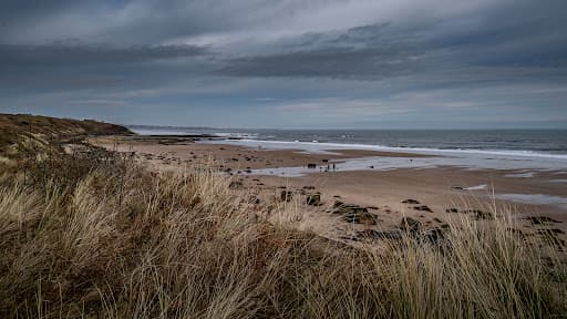 Sandee Warkworth Beach Photo