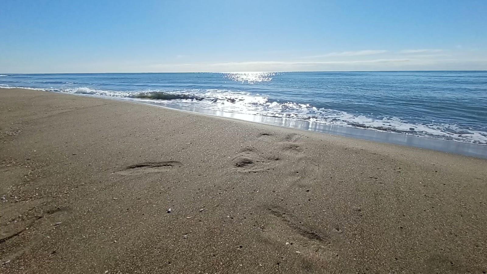 Sandee Spiaggia Libera Castel Porziano - Cancello 5