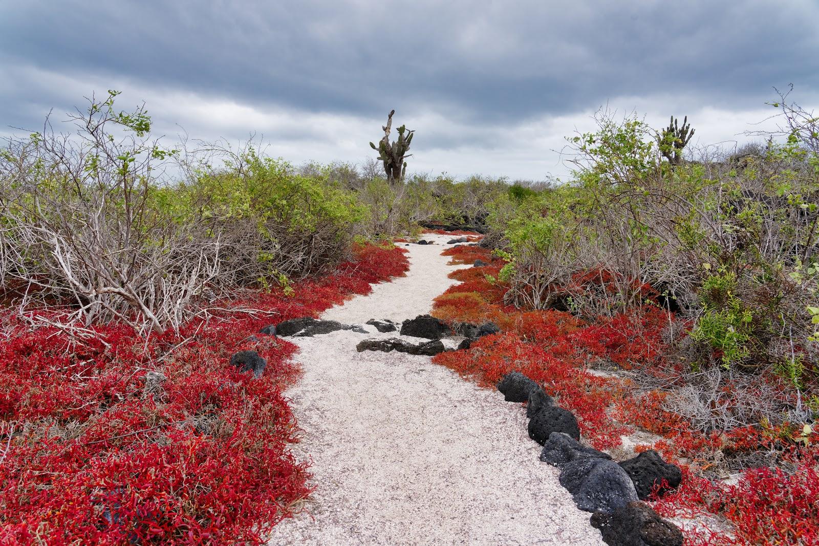 Sandee - La Loberia Floreana Island