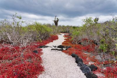 Sandee - La Loberia Floreana Island