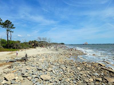 Sandee - Driftwood Beach