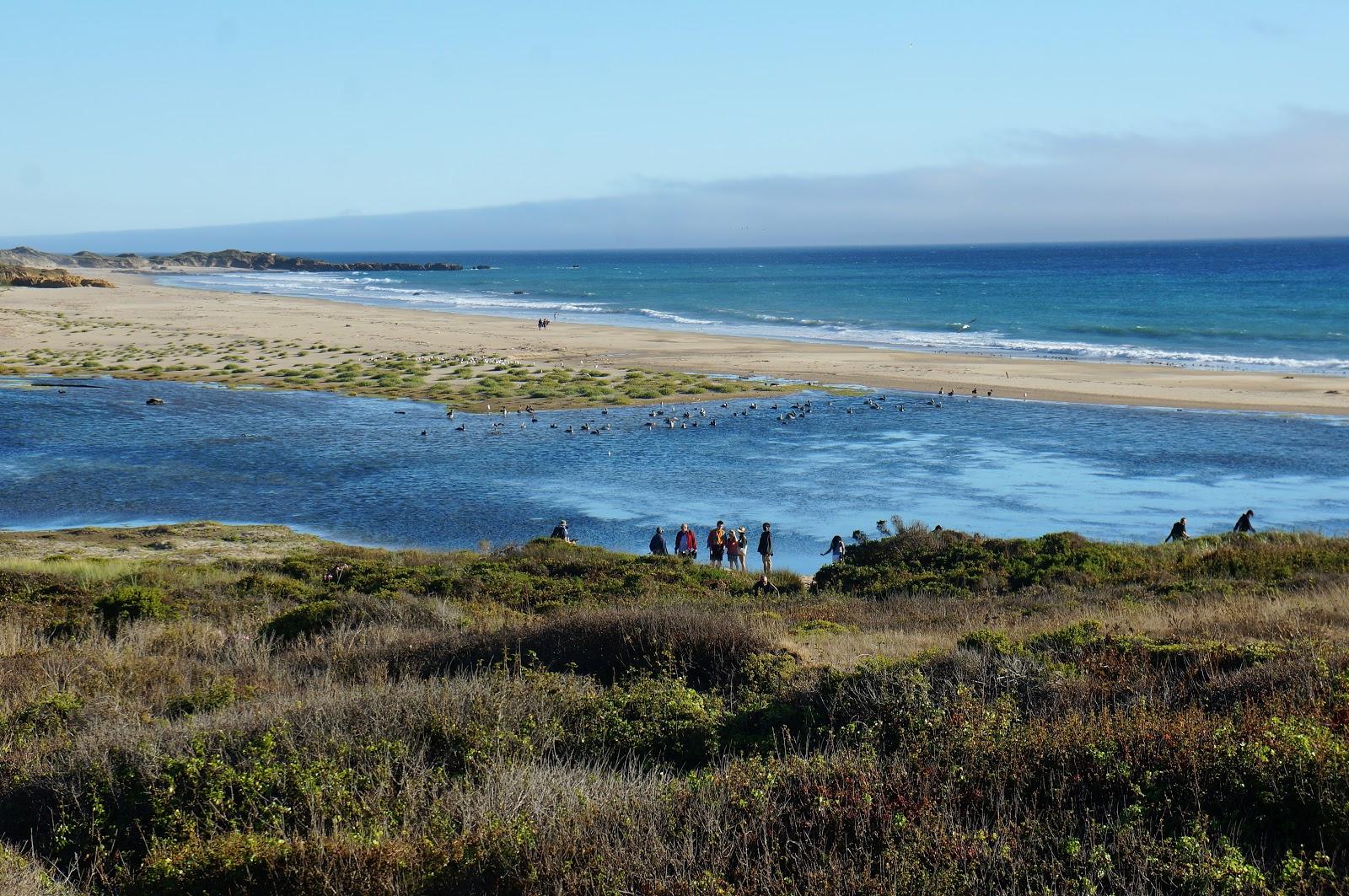 Sandee - Libby Cove Beach