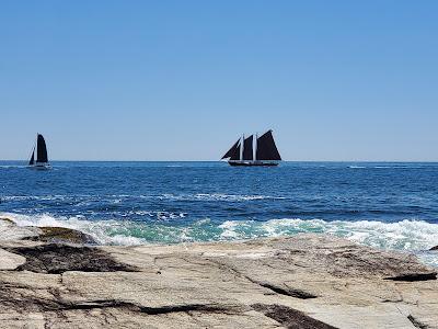 Sandee - Beavertail State Park