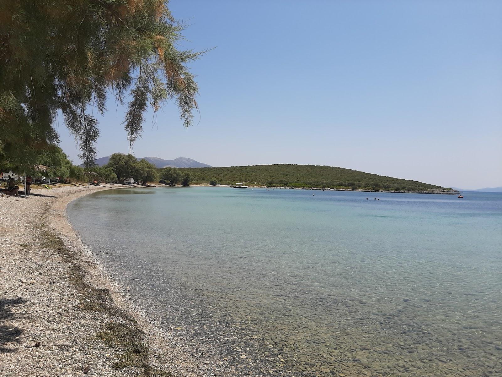 Sandee Beach Of The General