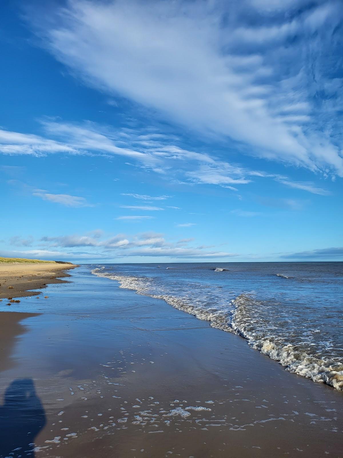 Sandee Old Bawn Beach