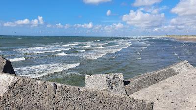 Sandee - Aloha Wijk Aan Zee Strandpaviljoen