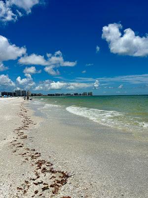 Sandee - Tigertail Beach