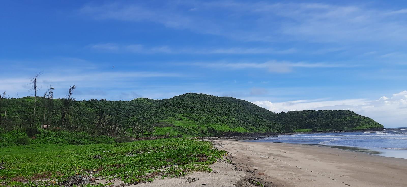 Sandee Walvati Beach Photo