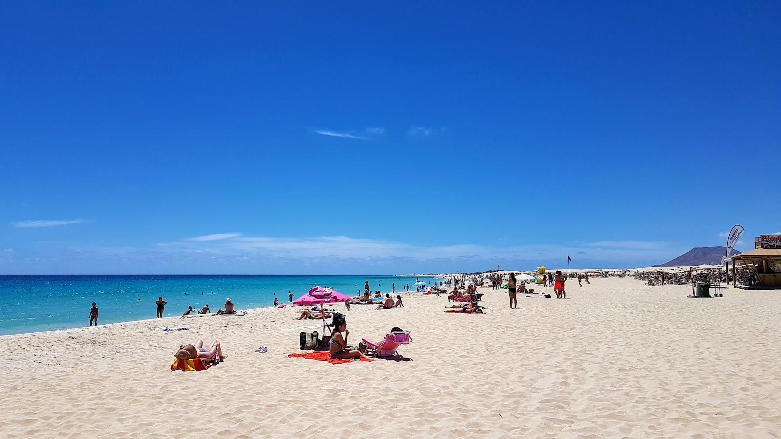 Sandee Playa De Los Matos Photo