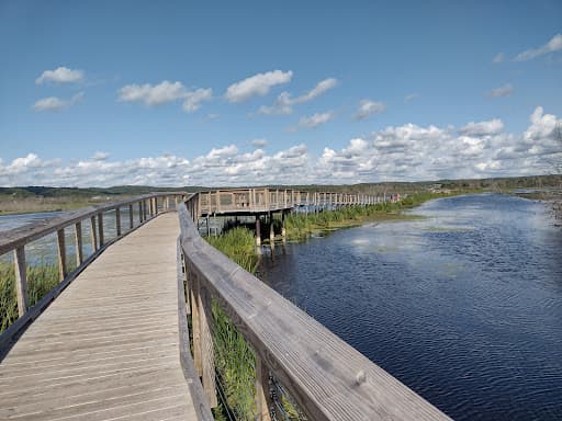 Sandee Arcadia Marsh Preserve Photo