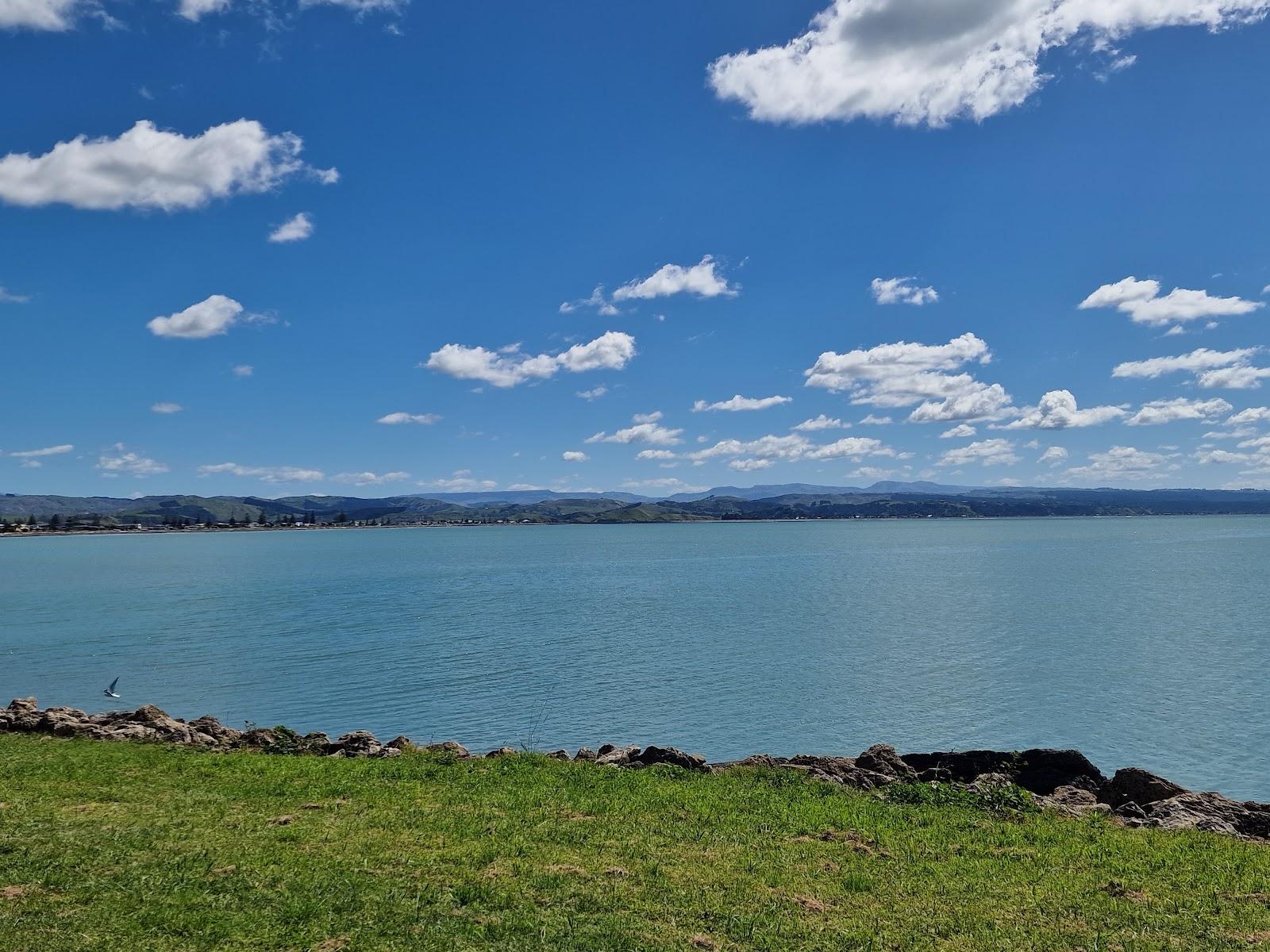 Sandee Whakariri Avenue Reserve