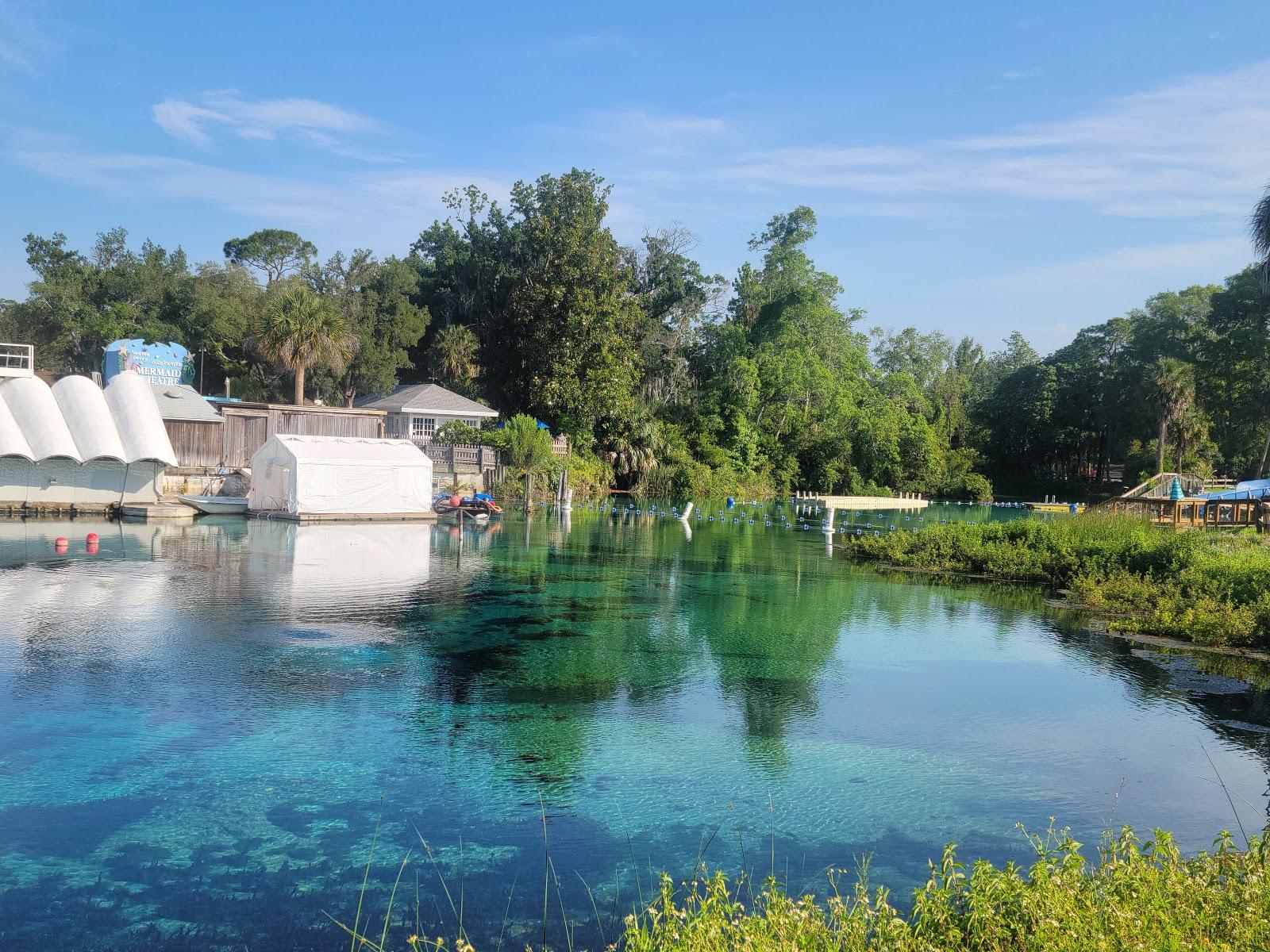 Sandee - Weeki Wachee Spring