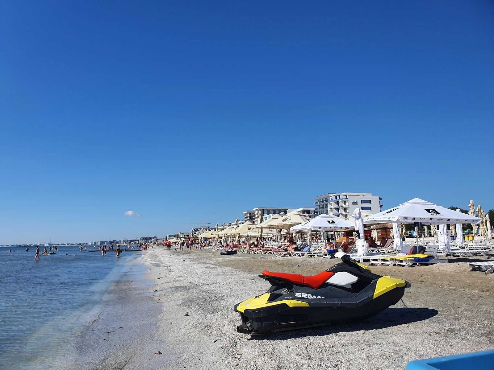 Sandee Dizzy Beach