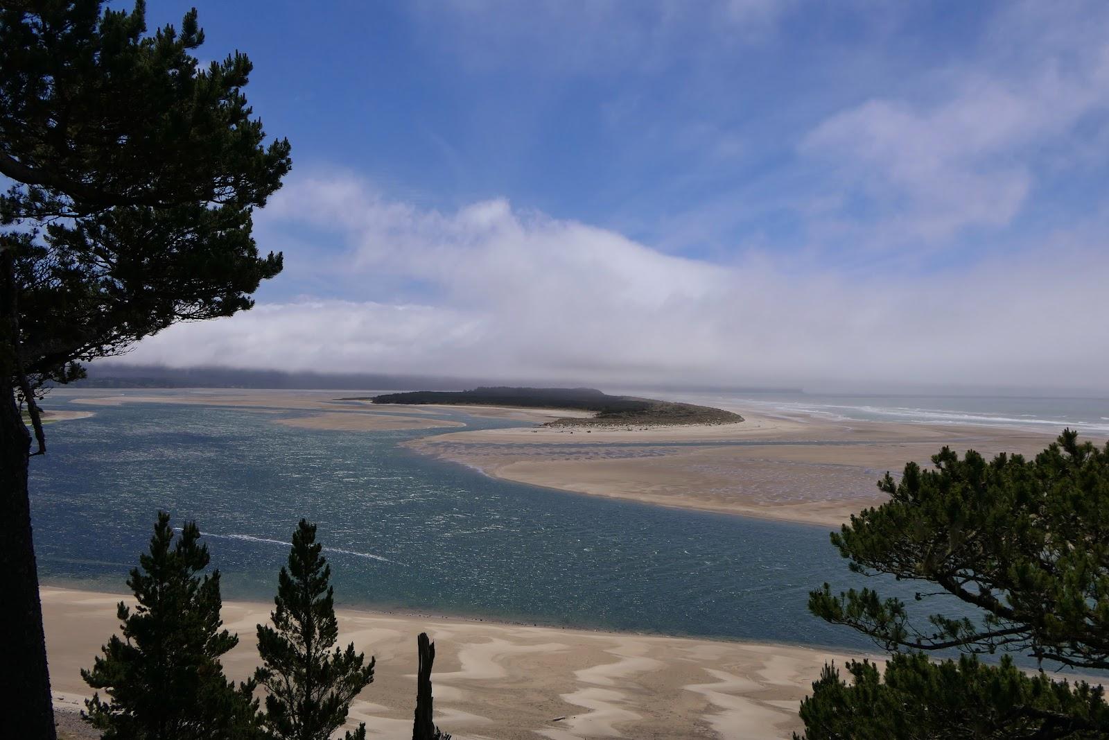 Sandee - Netarts Bay Lookout