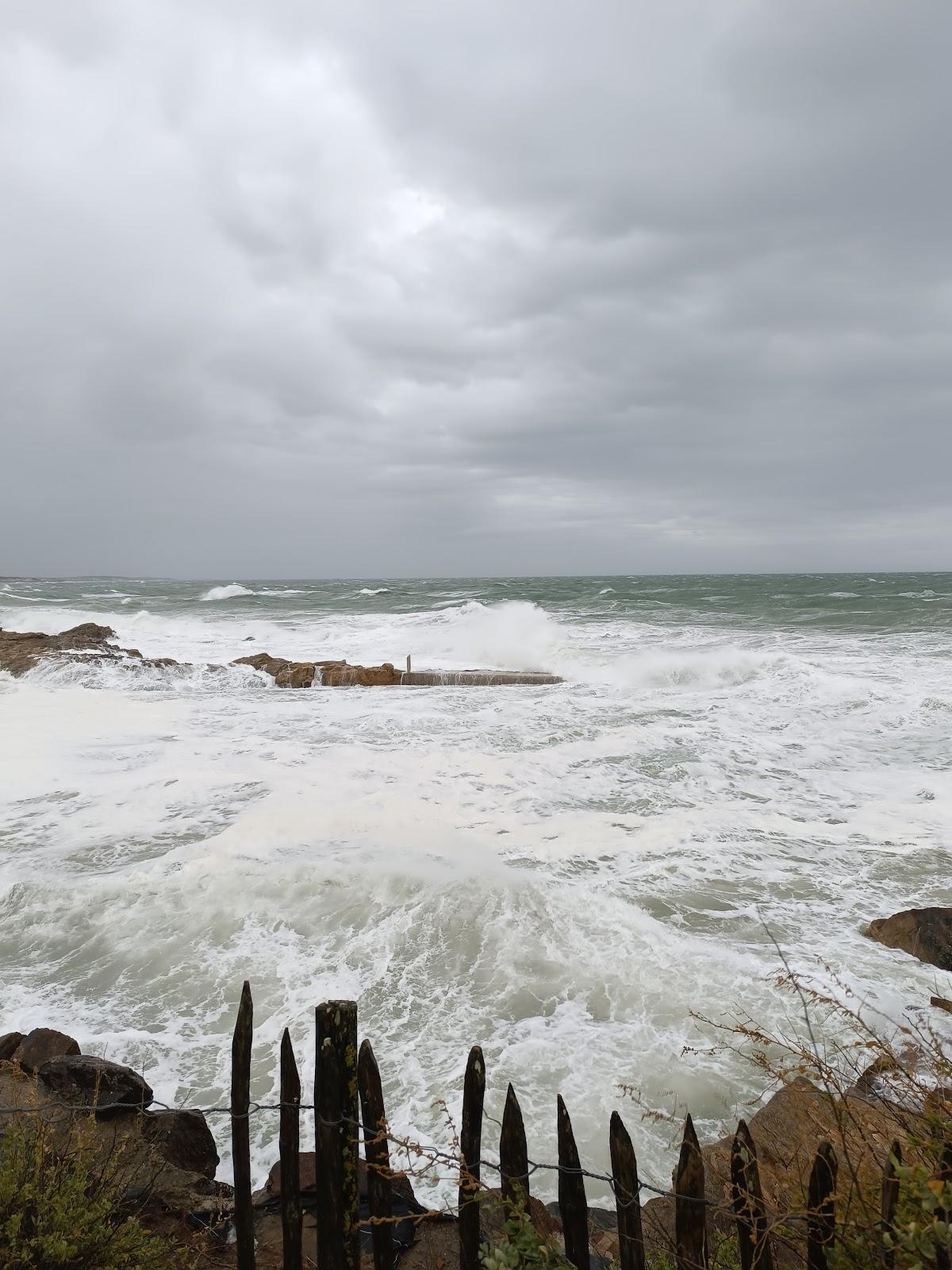 Sandee Bassin De Dombret - Chaume Photo