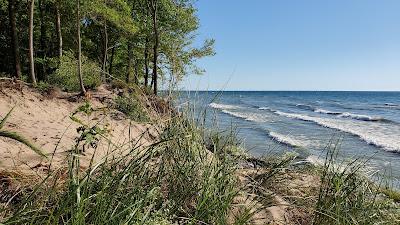 Sandee - Saugatuck Dunes State Park Shoreline Beach