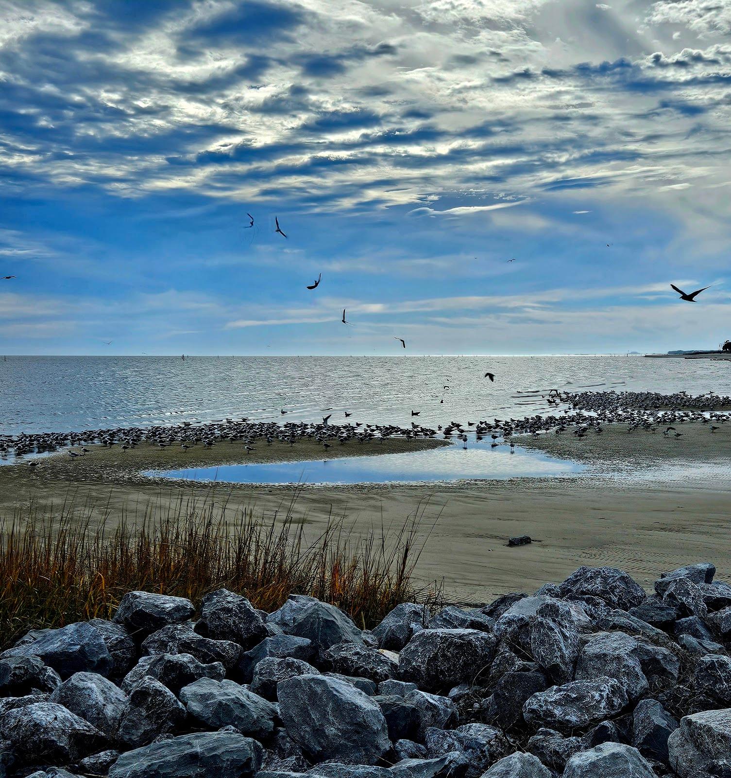 Sandee - Washington Street Pier And Boat Launch