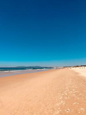 Sandee - Praia Da Nova Vaga