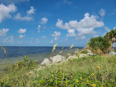 Sandee - Fred Howard Park