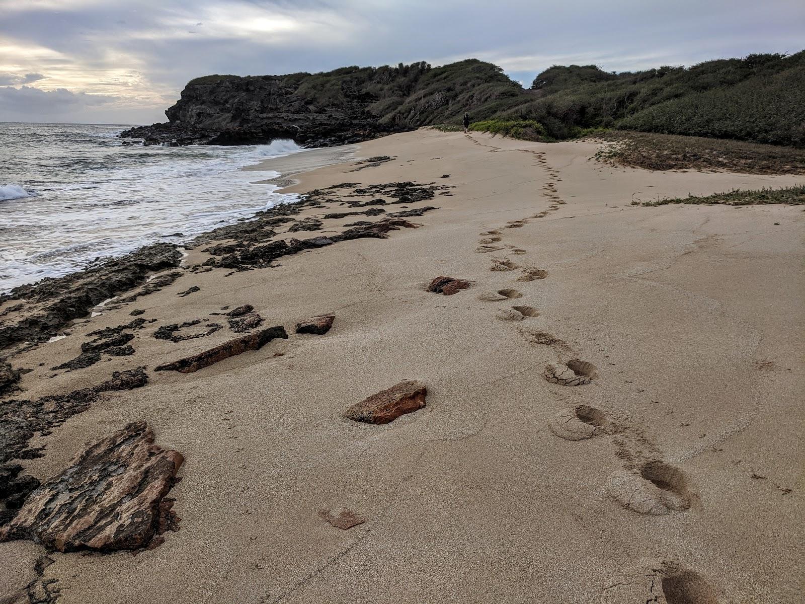 Sandee - Hale O Lono Beach