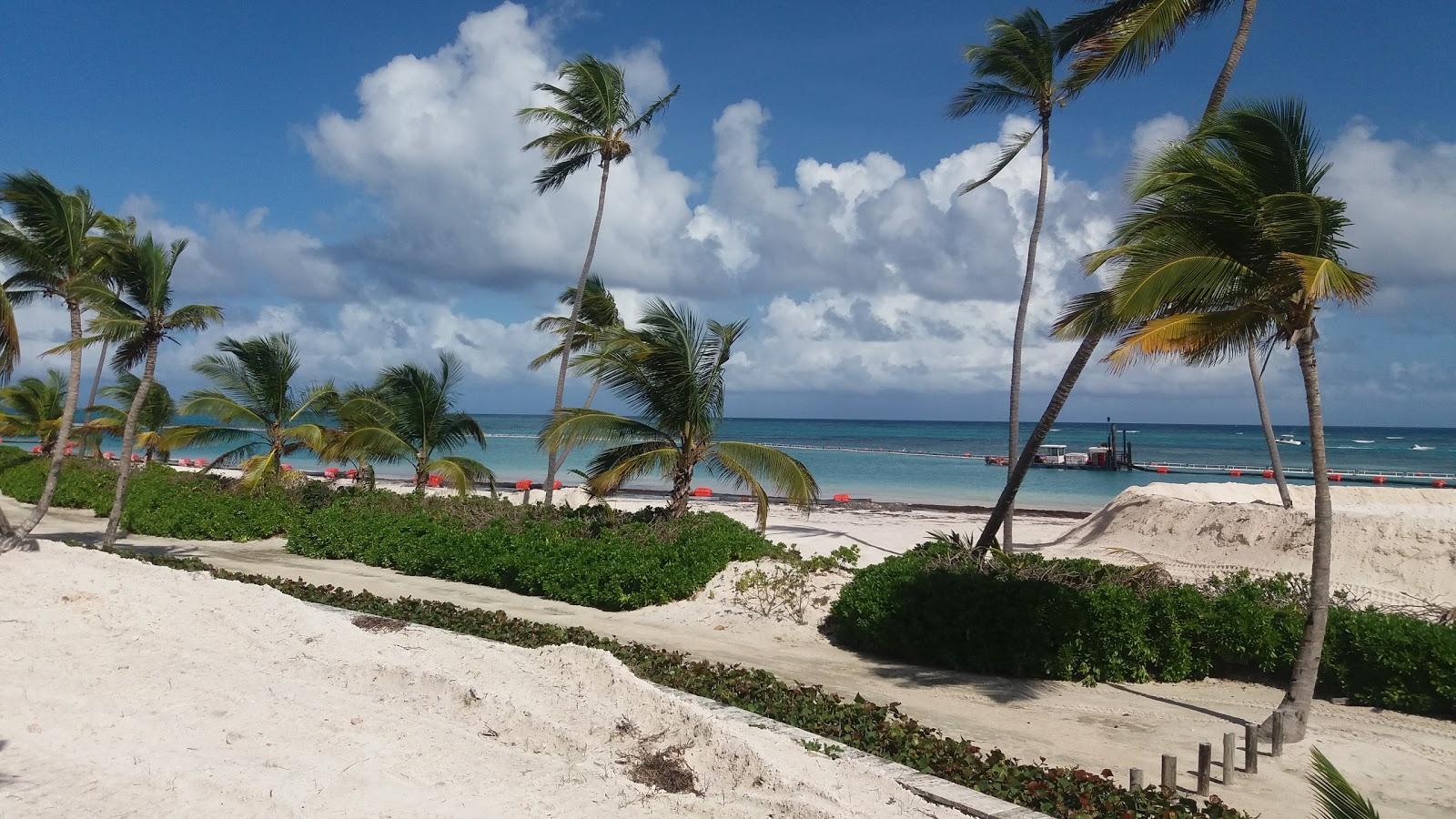 Sandee Playa Serena At Puntacana Resort & Club Photo