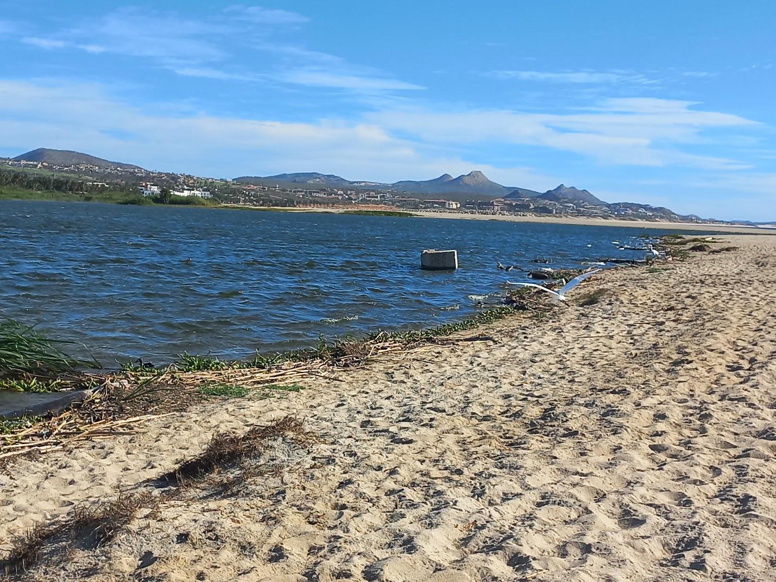 Sandee Estero De San Jose