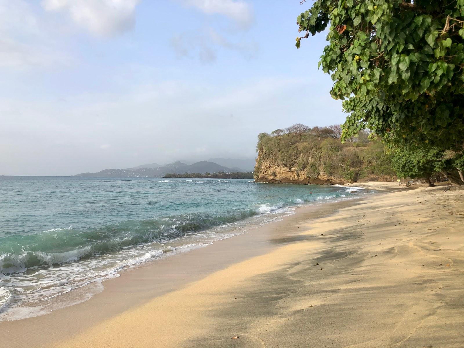 Sandee Dr. Grooms Beach Photo