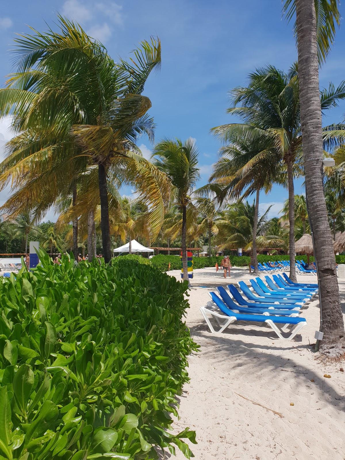 Sandee Playa At Bluebay Grand Esmeralda