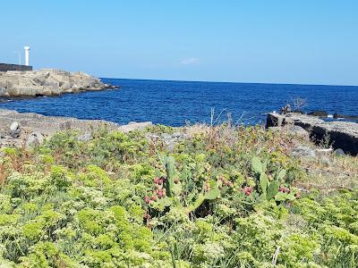 Sandee - Spiaggia Di Riposto