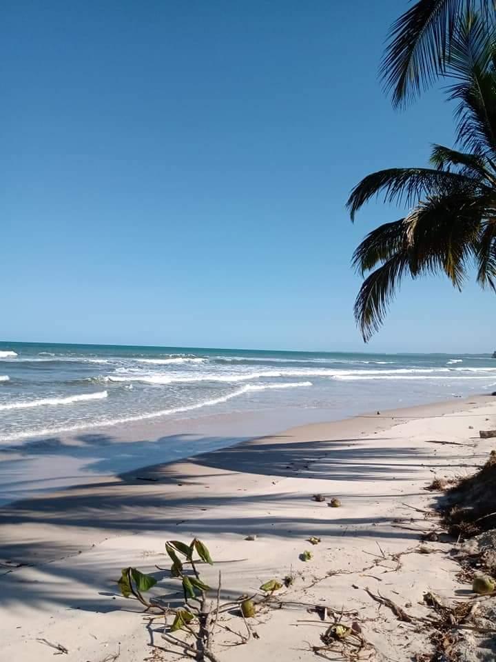 Sandee Barra De Mamoan