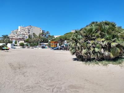 Sandee - Playa La Cala Del Pino