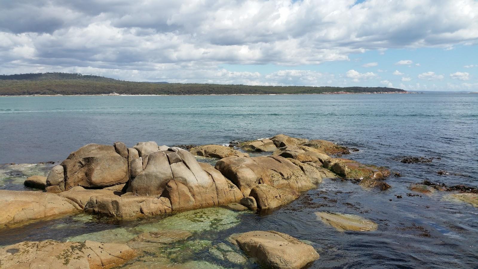 Sandee Burns Bay
